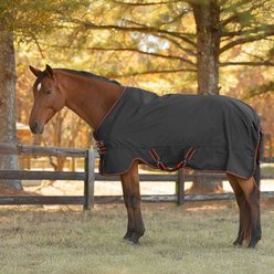 Horze Cairo Infrared Therapy Horse Turnout Sheet, Black, 84-in