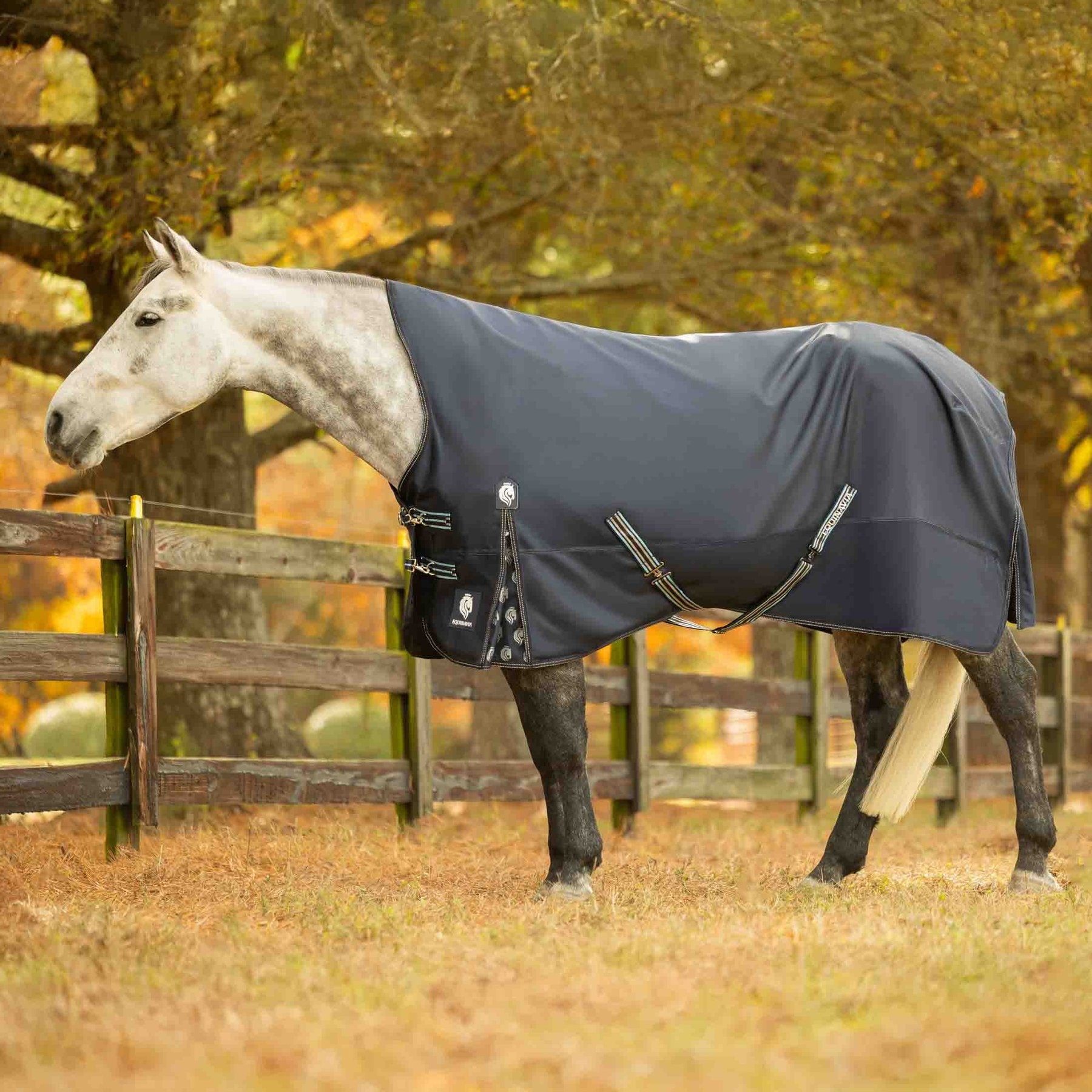 Equinavia Arktis Extended Neck Heavyweight 300-g Horse Turnout Blanket, Navy, 66-in
