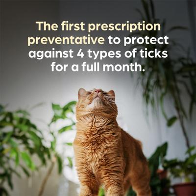 Show full view: Revolution Plus Topical Solution for Cats, 2.8-5.5 lbs, (Gold Box), 6 Doses (6-mos. supply) slide 5 of 12