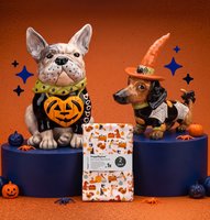 Home decor & gifts