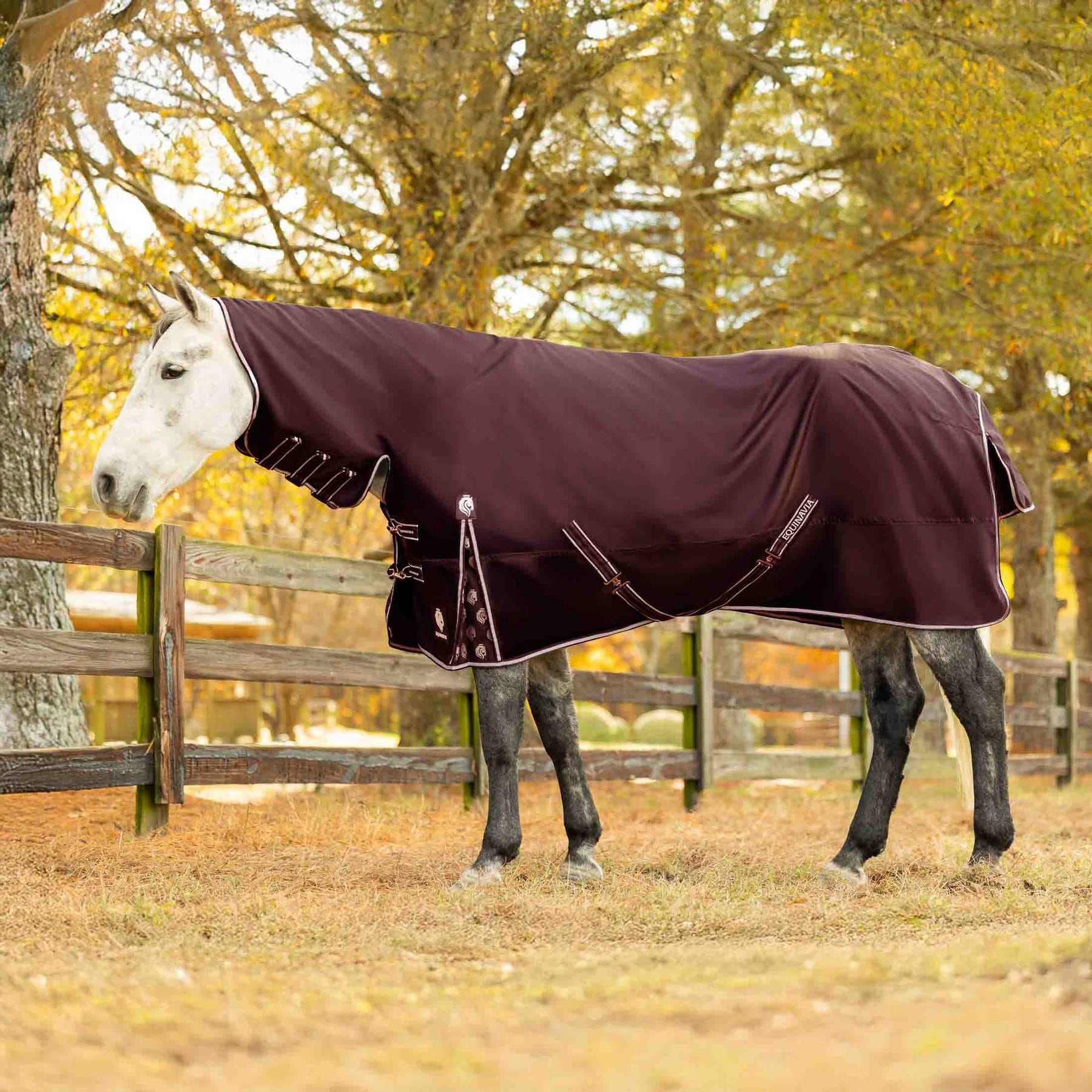 Equinavia Norse Full Neck 100g Horse Turnout Blanket, Burgundy, 72-in