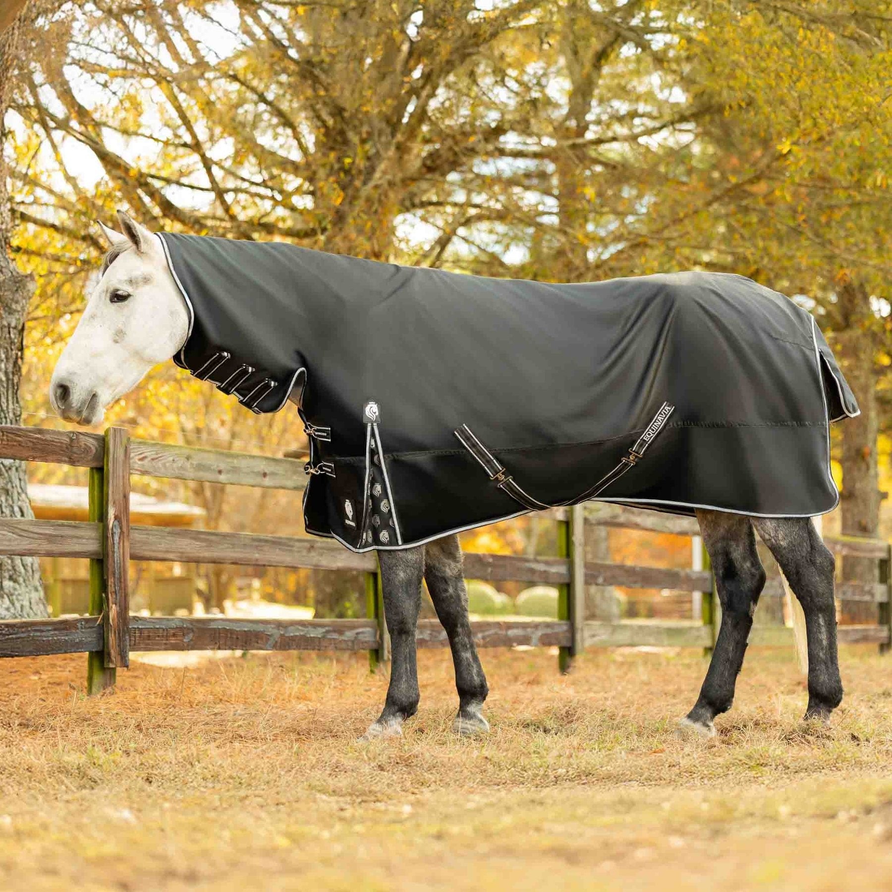 Equinavia Norse Full Neck Horse Turnout Sheet, Black, 66-in