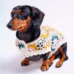 Both Tails Bubblegum Crochet Dog Shirt & Bandana, Large slide 2 of 7