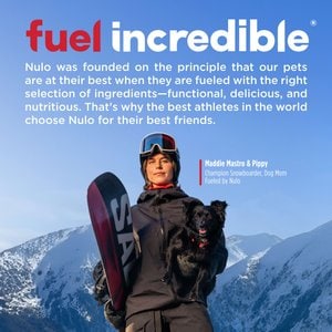 Nulo FreeStyle Limited Ingredient Salmon Recipe High-Protein & Grain-Free Puppy & Adult Dry Dog Food, 24-lb bag