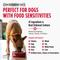 Show in main carousel: Nulo FreeStyle Limited Ingredient Salmon Recipe High-Protein & Grain-Free Puppy & Adult Dry Dog Food, 24-lb bag slide 4 of 11