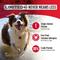 Show in main carousel: Nulo FreeStyle Limited Ingredient Salmon Recipe High-Protein & Grain-Free Puppy & Adult Dry Dog Food, 24-lb bag slide 3 of 11