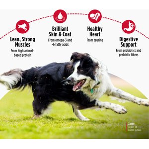 Nulo FreeStyle Limited Ingredient Salmon Recipe High-Protein & Grain-Free Puppy & Adult Dry Dog Food, 24-lb bag