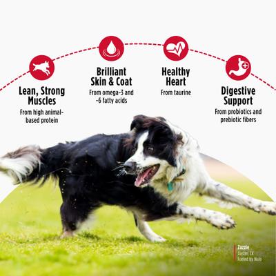 Show full view: Nulo FreeStyle Limited Ingredient Salmon Recipe High-Protein & Grain-Free Puppy & Adult Dry Dog Food, 24-lb bag slide 5 of 11
