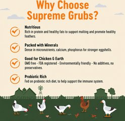 Supreme Grubs Black Soldier Fly Larvae Poultry Treats, 5-lb bag slide 2 of 6