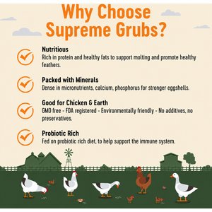 Supreme Grubs Black Soldier Fly Larvae Poultry Treats, 5-lb bag
