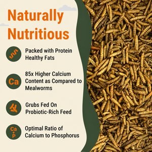 Supreme Grubs Black Soldier Fly Larvae Poultry Treats, 5-lb bag