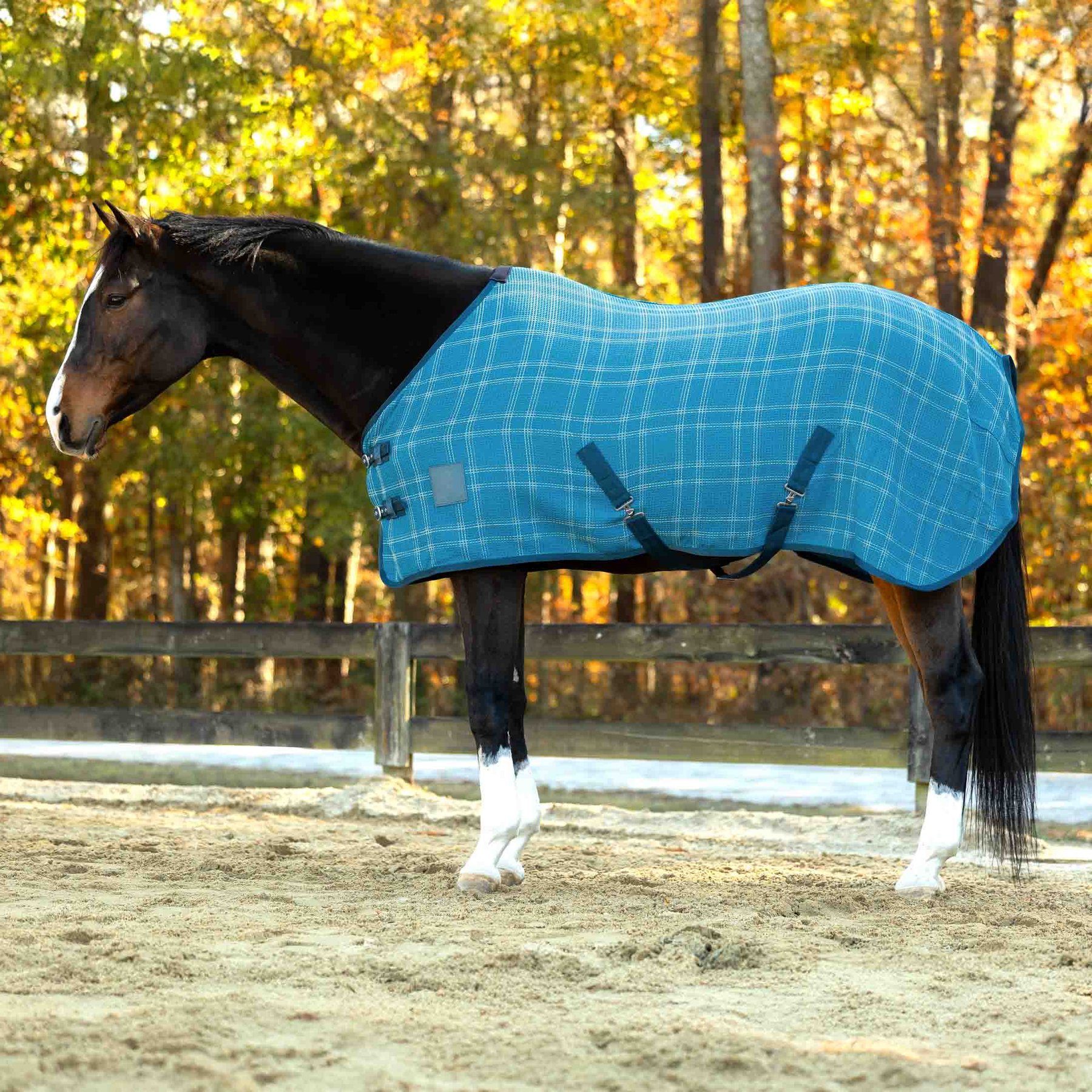 Equinavia Luftig Waffle Horse Cooler, Glacier Blue/Lyons Blue/Lily Pad, 78-in