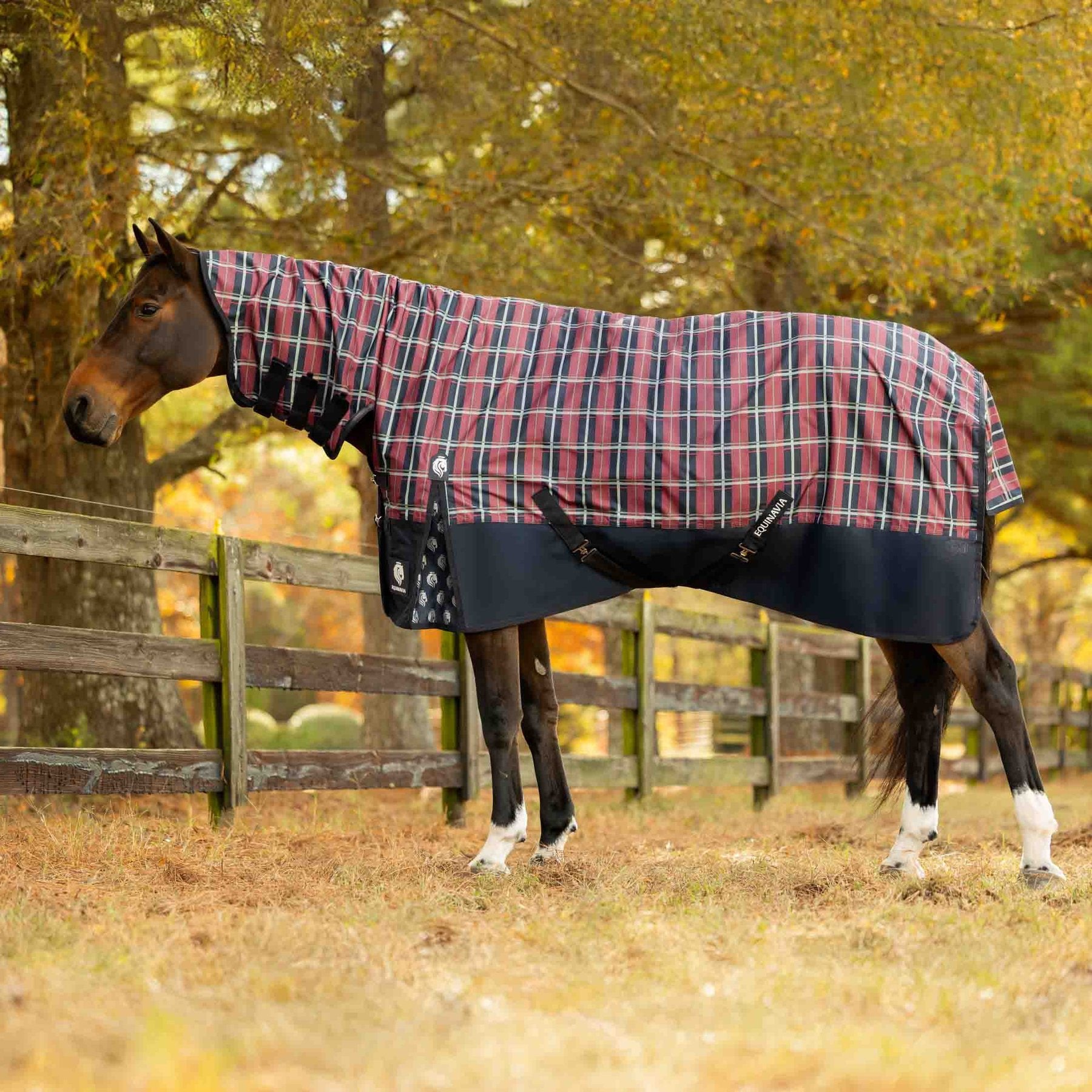 Equinavia Norse Full Neck Horse Turnout Sheet, Navy/Burgundy, 66-in
