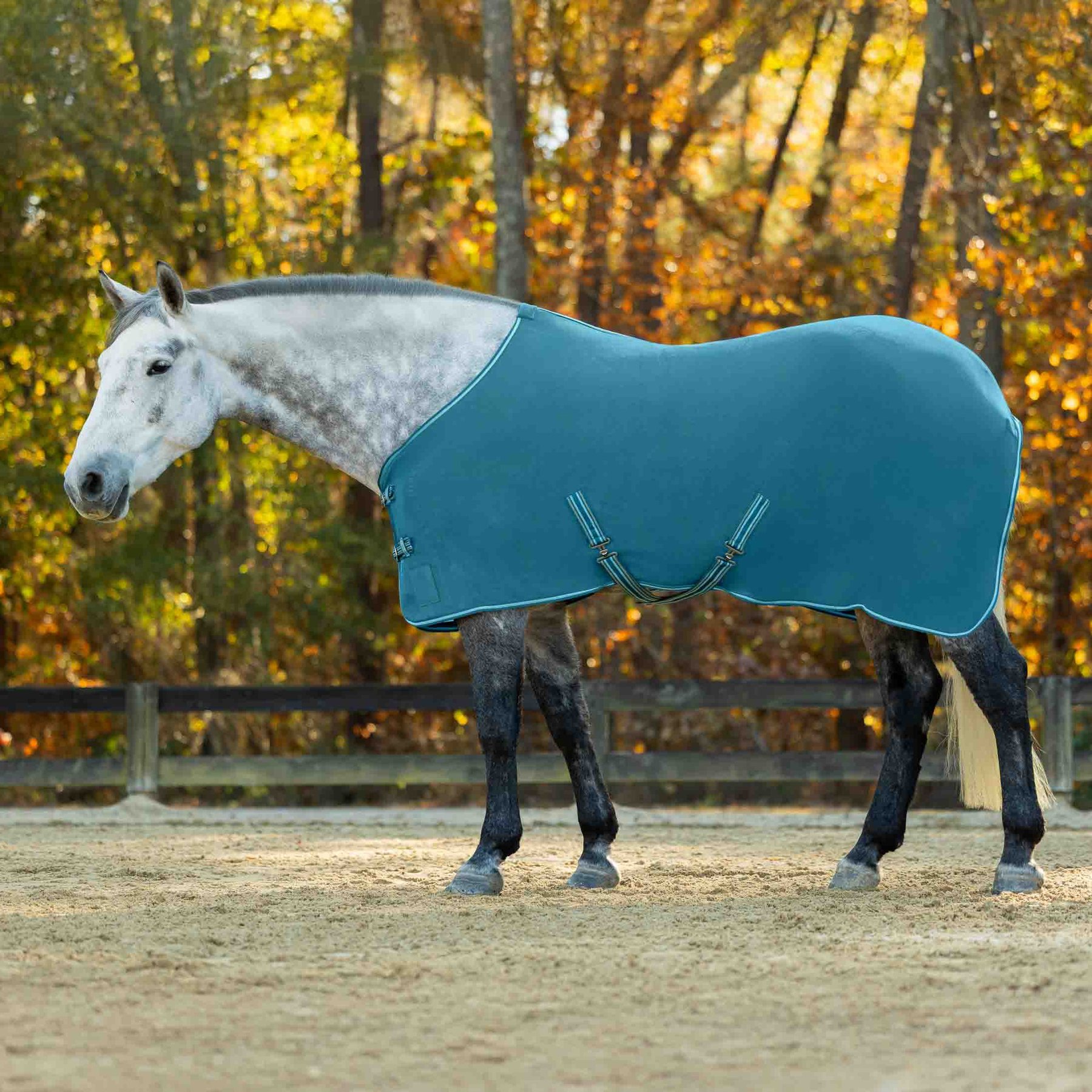 Equinavia Norse Fleece Horse Cooler, Lyons Blue, 82-in