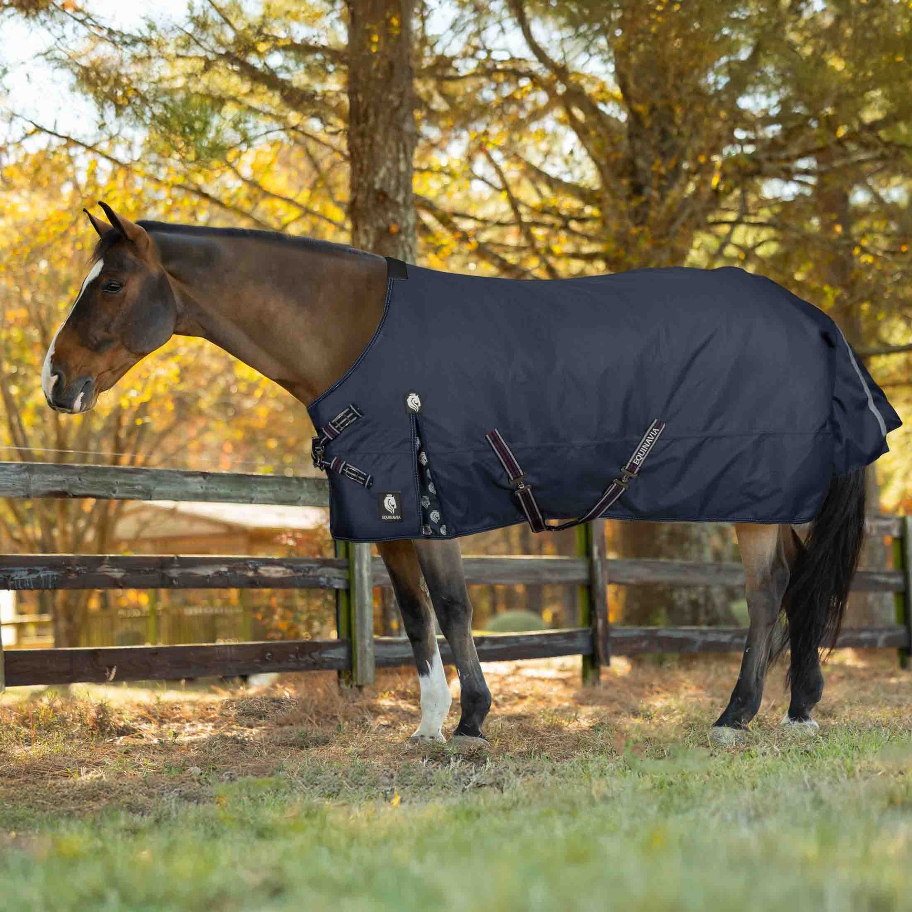 Equinavia Arktis TransitionFlex Horse Turnout Blanket, Navy, 69-in