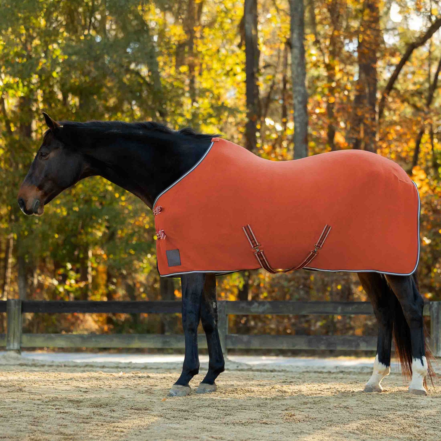 Equinavia Norse Fleece Horse Cooler, Chili Oil Red, 68-in