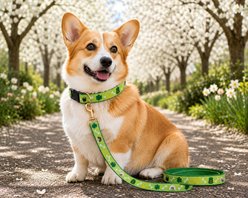 Up Country Lucky Charm Lead D-Ring Standard Dog Leash, Wide: 5-ft long, 1-in wide slide 2 of 3