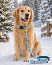 Up Country Howlidays Dog Collar, Wide: XX-Large slide 2 of 5