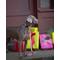Show in main carousel: Up Country Gingham All The Way Dog Collar, Narrow: Small slide 2 of 6