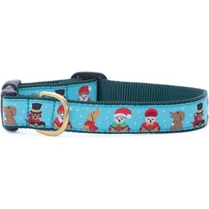 Up Country Howlidays Dog Collar, Narrow: Small