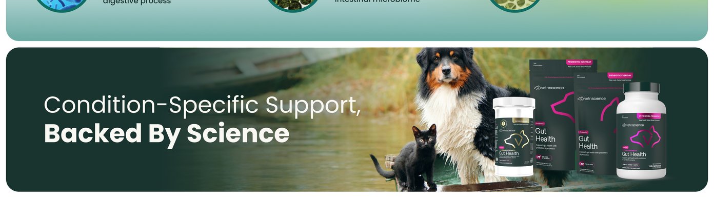 VetriScience presents condition-specific support backed by science with gut health products for dogs and cats. The lineup includes Vetri Mega Probiotic for gut health with prebiotics and 7 probiotic strains, Probiotic Everyday with FOS Fructooligosaccharides prebiotic fiber 100 mg, Entero Flora Pro for veterinary strength gut health, and Gut Health with prebiotics and probiotics. Visible claims include vet formulated, probiotic everyday, extra strength, formulated for daily use, new look same great formula, and options for all dogs and cats, dogs of all sizes, and all cats.