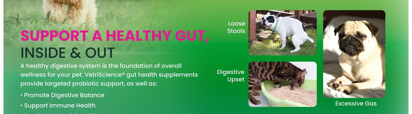 VetriScience gut health supplements are described as targeted probiotic support, with a healthy digestive system presented as the foundation of overall wellness for pets. The signs called out include loose stools, digestive upset, and excessive gas. The stated support areas include promoting digestive balance, supporting immune health, and providing gut and bowel support.