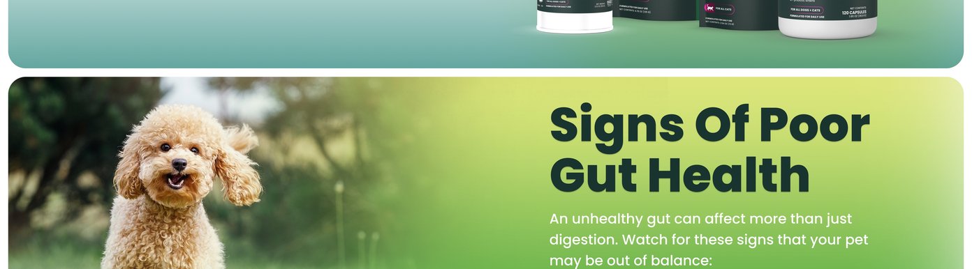 This section focuses on signs of poor gut health. It explains that an unhealthy gut can affect more than digestion and encourages pet owners to watch for signs that their pet may be out of balance.