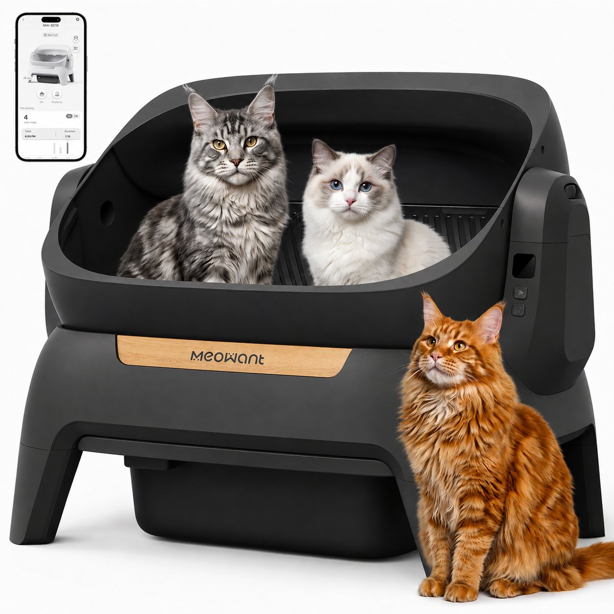 Questions and Answers about MEOWANT Self Cleaning Top Entry APP Control & Infrared Safety Sensors Odor Control Automatic Cat Litter-Box, Black, X-Large: 12-L