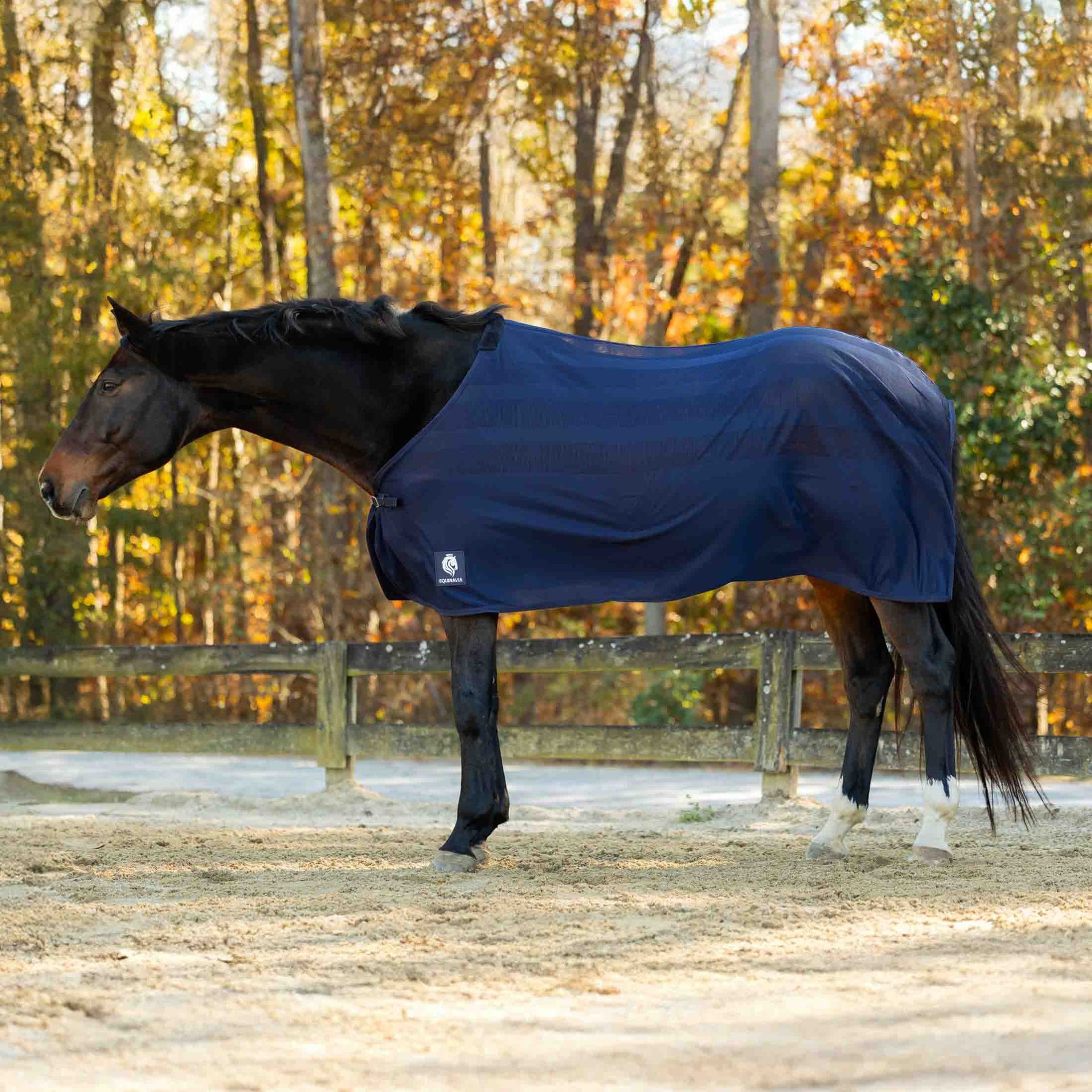 Equinavia Sefyr Scrim Horse Sheet, Navy, Small