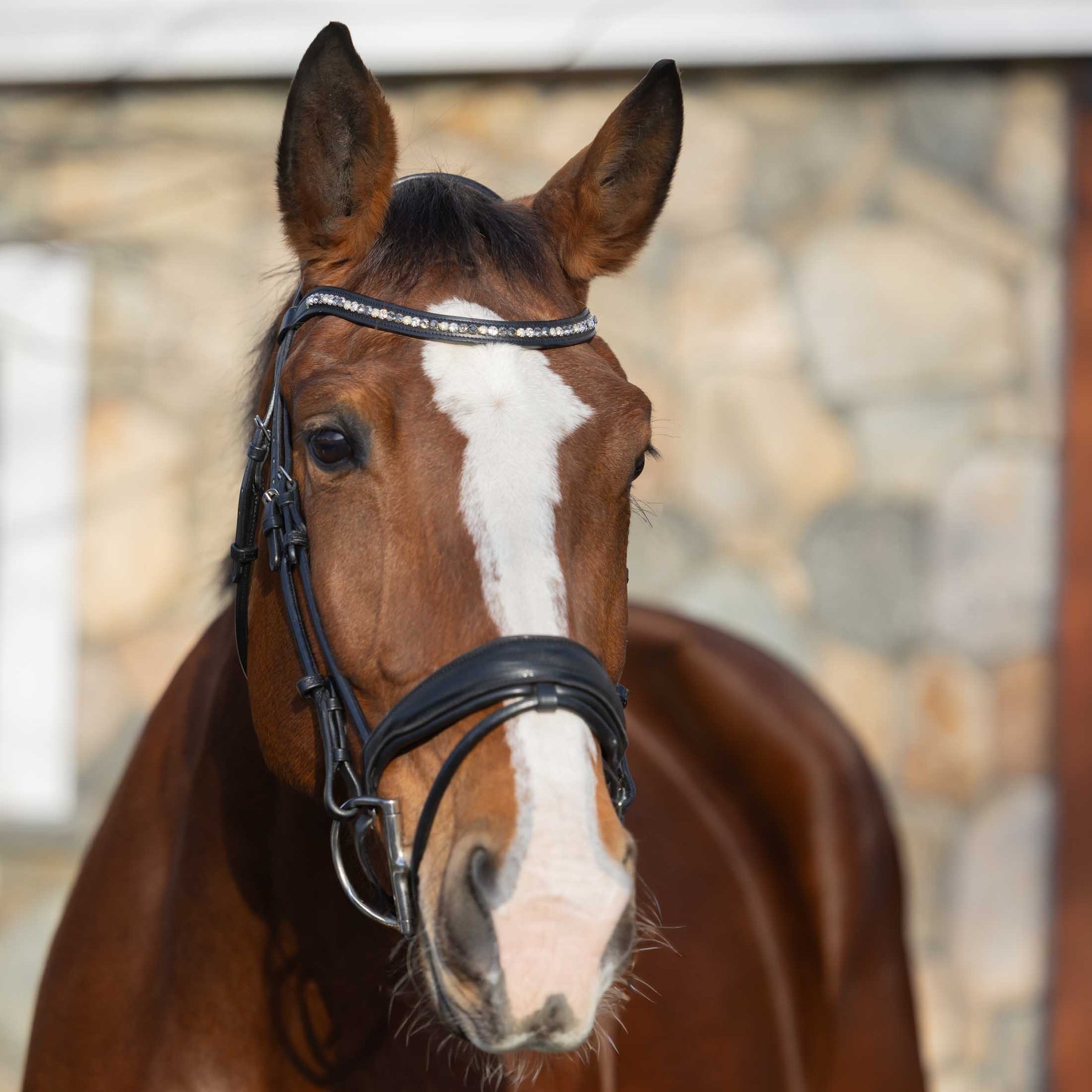Horze Montrose Dressage Horse Bridle, Black, Cob