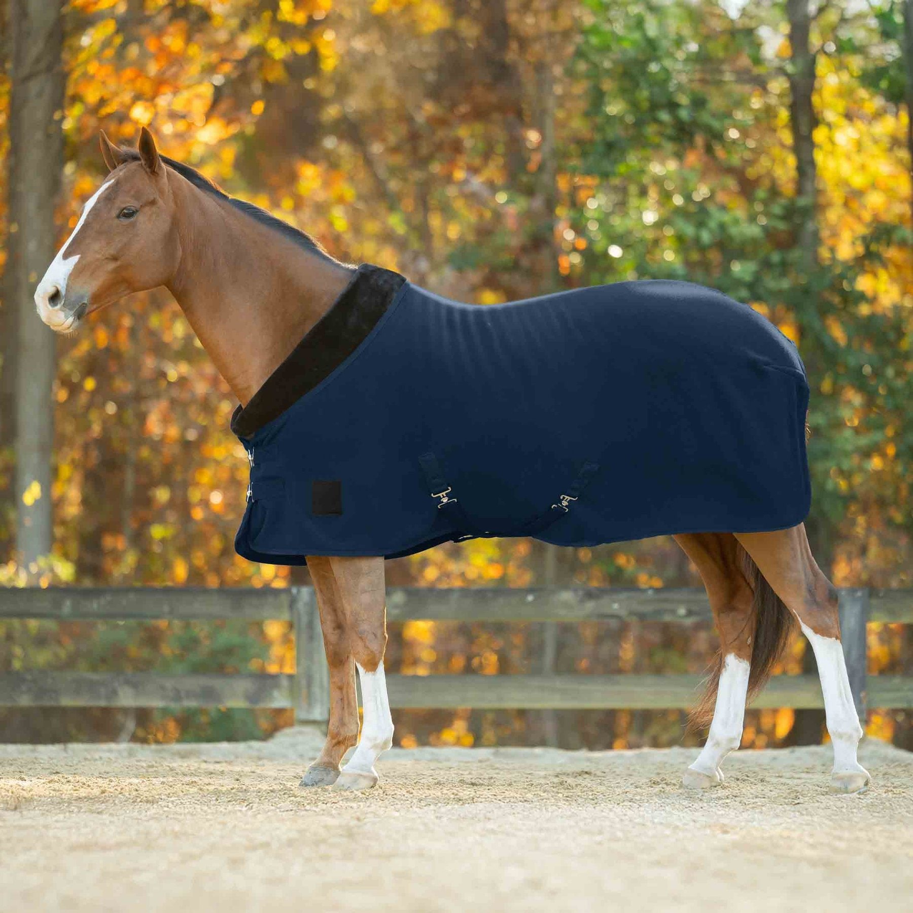 Equinavia Kozi UltraFleece Lined Horse Cooler, Navy, 84-in