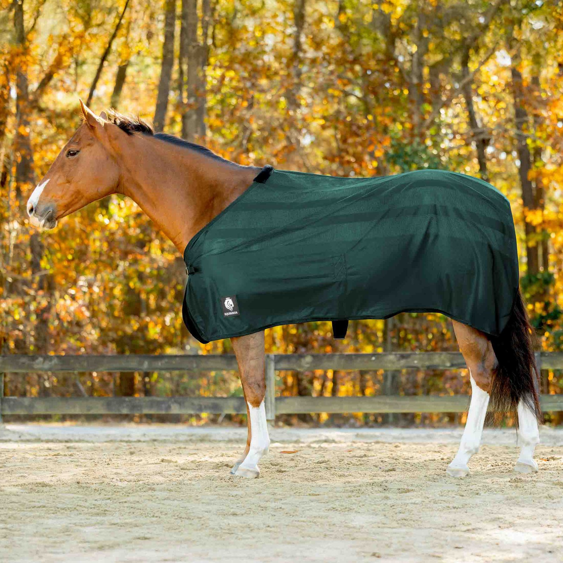 Equinavia Sefyr Scrim Horse Sheet, Hunter Green, Small