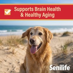 Senilife XL Cognitive Support Brain Health Chicken Flavored Capsule Supplement for Senior Dogs, 30 count slide 2 of 7