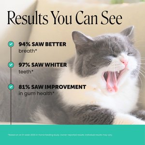 Pet Honesty Fresh Breath Chicken Flavor Dental Bites Supplement for Cats, 3.7-oz pouch