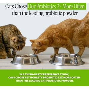 Pet Honesty Probiotics Gut + Immune Health Chicken Flavored Digestive Chews for Cats, 3.7-oz pouch