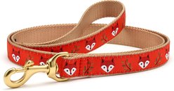 Up Country Foxy Dog Lead with D-Ring, Wide: 5-ft long, 1-in wide