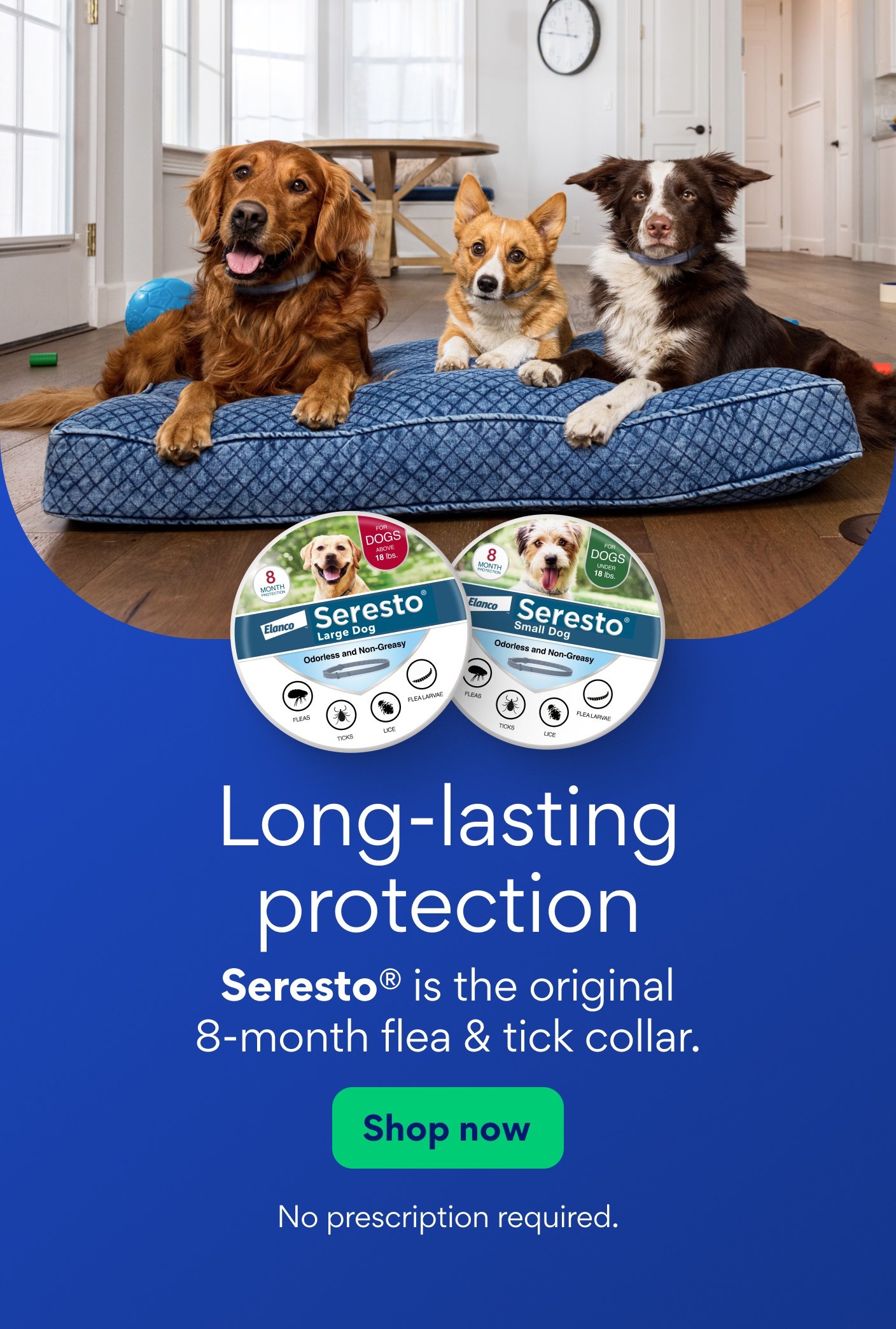 Seresto is the original 8-month flea & tick collar. No prescription required.
