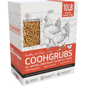 COOHGRUBS Dried Black Soldier Fly Larvae Chicken Treat, 10-lb box