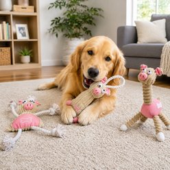 Pet Life 2-Piece Eco-Friendly Recyclable Jute Variety Pack Rope & Plush Dog Toy Set, Pink slide 2 of 4