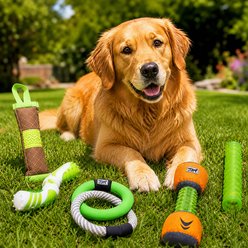 Pet Life 5-Piece Rugged Nylon & Rubber Plush Squeak Tug & Fetch Dog Toy Set, Green/Orange slide 2 of 4
