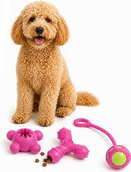 Pet Life 3-Piece Plush Tug Fetch & Squeaking Interactive Dog Toy Set, Pink/Brown