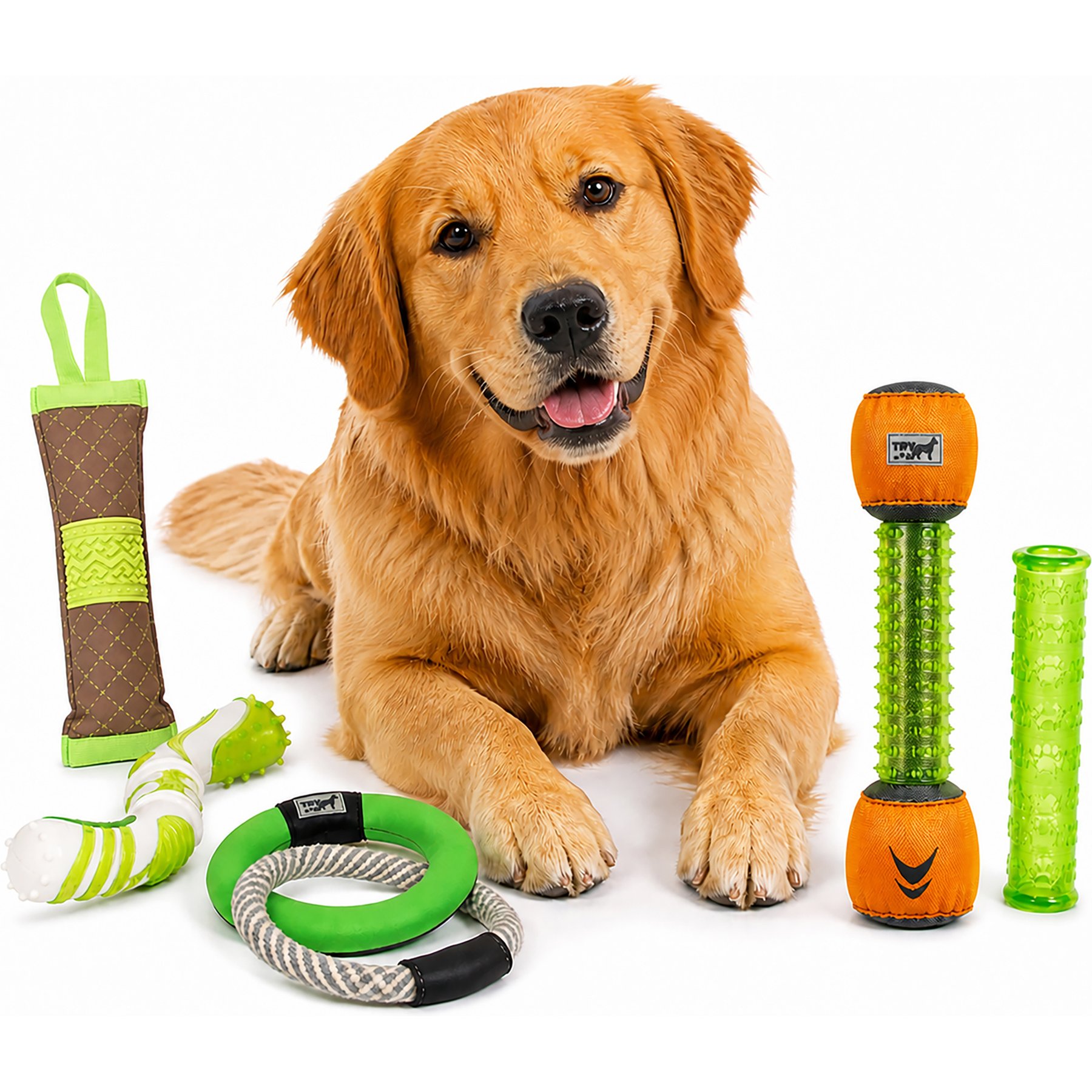 Pet Life 5-Piece Rugged Nylon & Rubber Plush Squeak Tug & Fetch Dog Toy Set, Green/Orange
