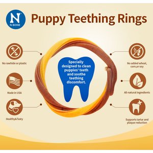 N-Bone Puppy Teething Ring Chicken Flavor Dental Dog Treats, 6 count