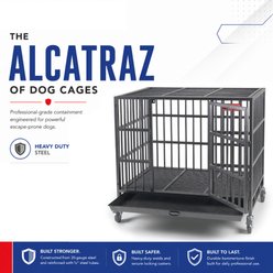 ProSelect Empire Single Door Steel Dog Crate, 41.25-in slide 2 of 9