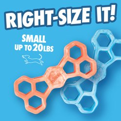 Chuckit! Hol-EE Exercise Chew Bone Dog Toy, Blue, Small slide 2 of 6