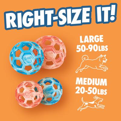 Show full view: Chuckit! Hol-EE Roller Exercise Ball Dog Toy, Blue, Large slide 3 of 5