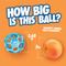 Show in main carousel: Chuckit! Hol-EE Roller Exercise Ball Dog Toy, Blue, Large slide 4 of 5