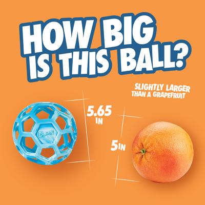 Show full view: Chuckit! Hol-EE Roller Exercise Ball Dog Toy, Blue, Large slide 4 of 5