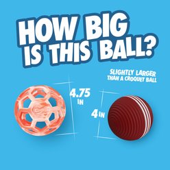 Chuckit! Hol-EE Roller Exercise Ball Dog Toy, Orange, Medium slide 2 of 6