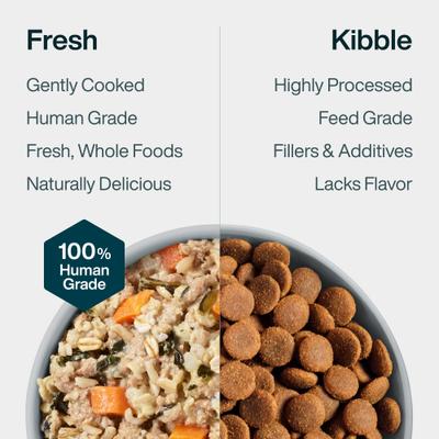 Show full view: JustFoodForDogs JustFresh Human Grade Home-Cooked Turkey Recipe Fresh Dog Food, 12-oz pouch, bundle of 14  slide 8 of 10